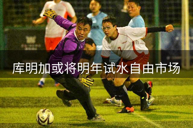 库明加或将明年试水自由市场